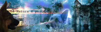 Linguaggio Naturale - la pagina facebook 